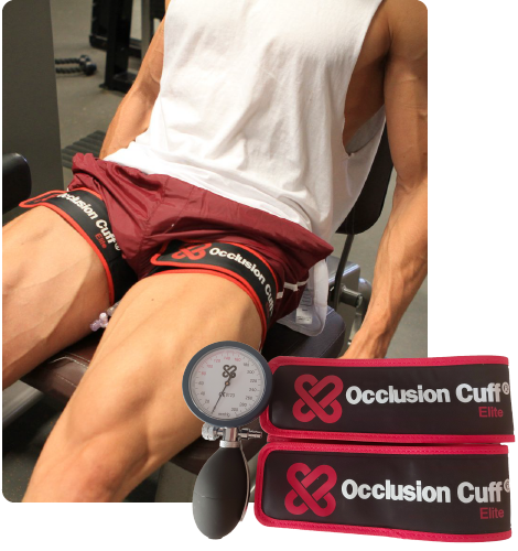 Occlusion Cuff Elite ® - Buy BFR training bands online – The Occlusion Cuff  ®